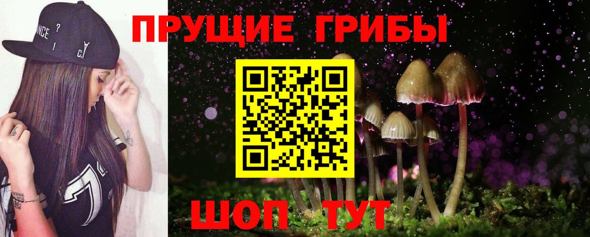 магазин  наркотиков  Псилоцибиновые грибы GOLDEN TEACHER  Вход с VPN  Рубцовск  Псилоцибиновые грибы Psilocybine cubensis 